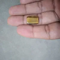 سنگ چشم ببر