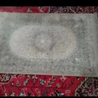 دوعدد پادری نو