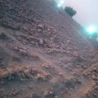 فروش زمین کشاورزی