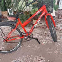 فروش دوچرخه|دوچرخه، اسکیت، اسکوتر|شیراز, ریاستی|دیوار