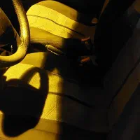 پراید 131|خودرو سواری و وانت|تبریز, |دیوار