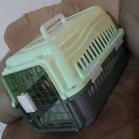 سگ مالتیپو|سگ|قم, انسجام|دیوار