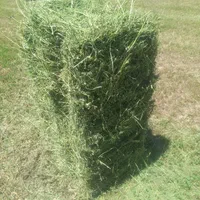 فروش یونجه بسته بندی انباری|لوازم جانبی حیوانات|مرودشت, کناره|دیوار