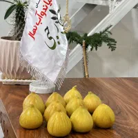 بهترین نهال رقم انجیر عسلی زرد با تضمین پیش فاکتور