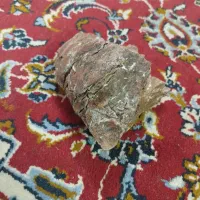 سنگ آکواریوم