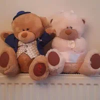 دوتا خرس خارجی پولیشی|اسباببازی بچه|تهران, درب دوم|دیوار