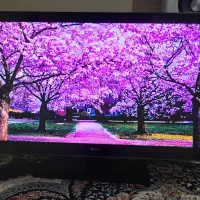 تلویزیون 40اینج دیجیتال سرخودوفلشخور الجی اصل کره|تلویزیون و پروژکتور|مشهد, توس (بلوار توس)|دیوار