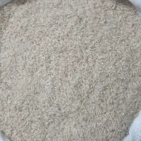 برنجشالی محلی فجر|خوردنی و آشامیدنی|آزادشهر, |دیوار