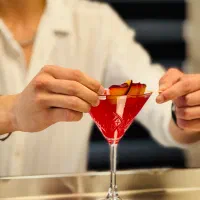 دوره بار سرد (میکسولوژی،بارتندری)