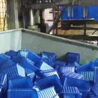 ظرف قارچ|ظروف نگهدارنده، پلاستیکی، یکبارمصرف|گرگان, |دیوار