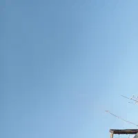 حیاط مارالان