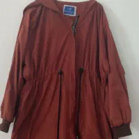 پالتو ،بارانی|لباس|شیراز, تندگویان|دیوار