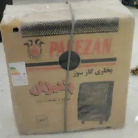 بخار گازی پایزان