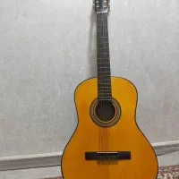 گیتار پارسی m5