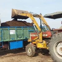 کود گوسفندی وگاوی