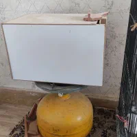 عروس هلندی جفت بالغ|پرنده|فردیس, انبار نفت|دیوار