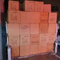 پخش و توزیع مستقیم تخم مرغ|خوردنی و آشامیدنی|مشهد, موسوی قوچانی|دیوار