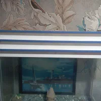 آکواریوم شیشه 10میل