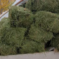 پرس یونجه درجه یک