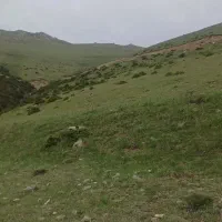 مسافرت|فعالیت داوطلبانه|اهر, |دیوار