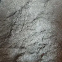 کاه گندم. خالص بدون گردوخاک