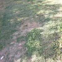 فروش زمین مسکونی