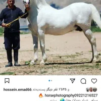 کره دورات جهان(شکری)