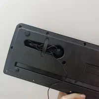 اورگ|پیانو، کیبورد، آکاردئون|یزد, |دیوار