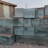 انواع اکواریوم|ماهی|تربتحیدریه, باغ سلطانی|دیوار