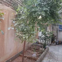 تجاری-سند-تک-برگ-املاک-سپهر