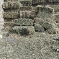 علف بسته بندی