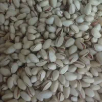 پسته خندان|خوردنی و آشامیدنی|قم, جهان بینی|دیوار