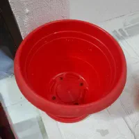 گلخانه