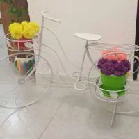 استنددوچرخه فانتزی