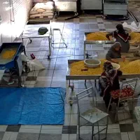 کارگر خانم در تفت