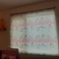 زیرقیمت|کلکسیون اشیاء عتیقه|سهند, |دیوار