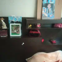 تخت دو نفره در حد نو کاملا سالم