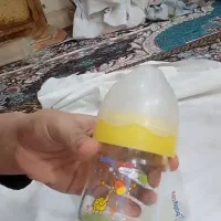 چندعددشیشه شیر همه باهم|اسباب و اثاث بچه|زابل, |دیوار