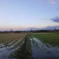 دو-قطعه-زمین-بمساحت-5-هزارمتر