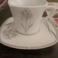 سرویس 12 نفری|ظروف سرو و پذیرایی|فردیس, فردیس|دیوار