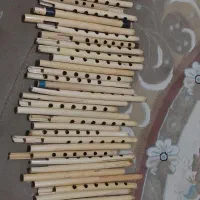 فروش نی تکی