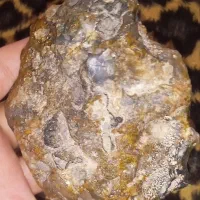 11 عدد عقیق شجر قائنات و عقیق سلیمانی راف معدنی