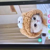 فروش تبلت Umiio S25 Ultra با مشخصات بالا|تبلت|اسلام‌شهر, شهرک سعیدیه|دیوار