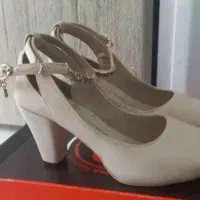 کفش مجلسی