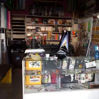 شیشه دودی سجاد