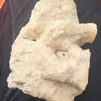 سنگ گرانبها