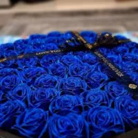 لوازم تزئینی|گل مصنوعی|مرند, |دیوار