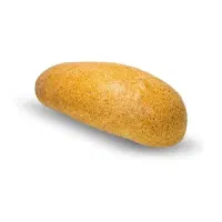 استخدام شاطر فانتزی