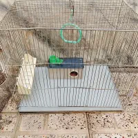 قفسه پرنده|لوازم جانبی حیوانات|مشهد, شهید بهشتی|دیوار