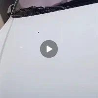 پژو پارس اتومات|خودرو سواری و وانت|زاهدان, |دیوار